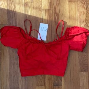 NWT Zara Crop Top